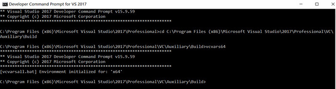 Рис. 8. Инициализация Visual Studio environment